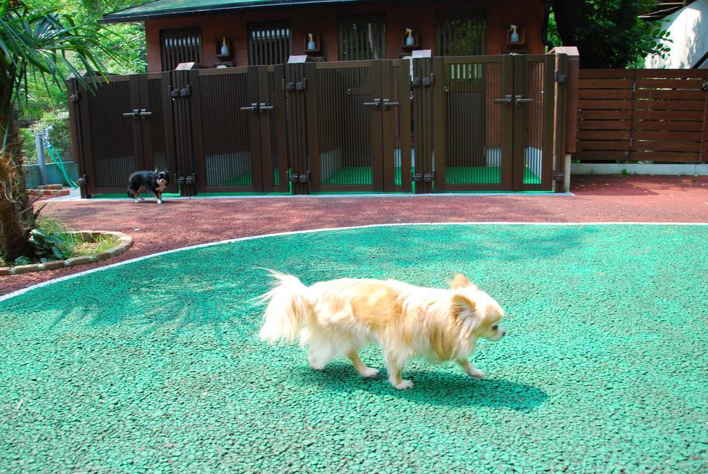 Okumizuma Onsen Hotel Kaizuka Bagian luar foto